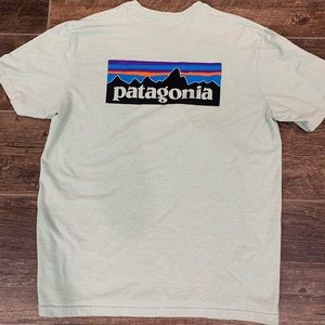 Men’s Light Sage Patagonia TShirt, Large